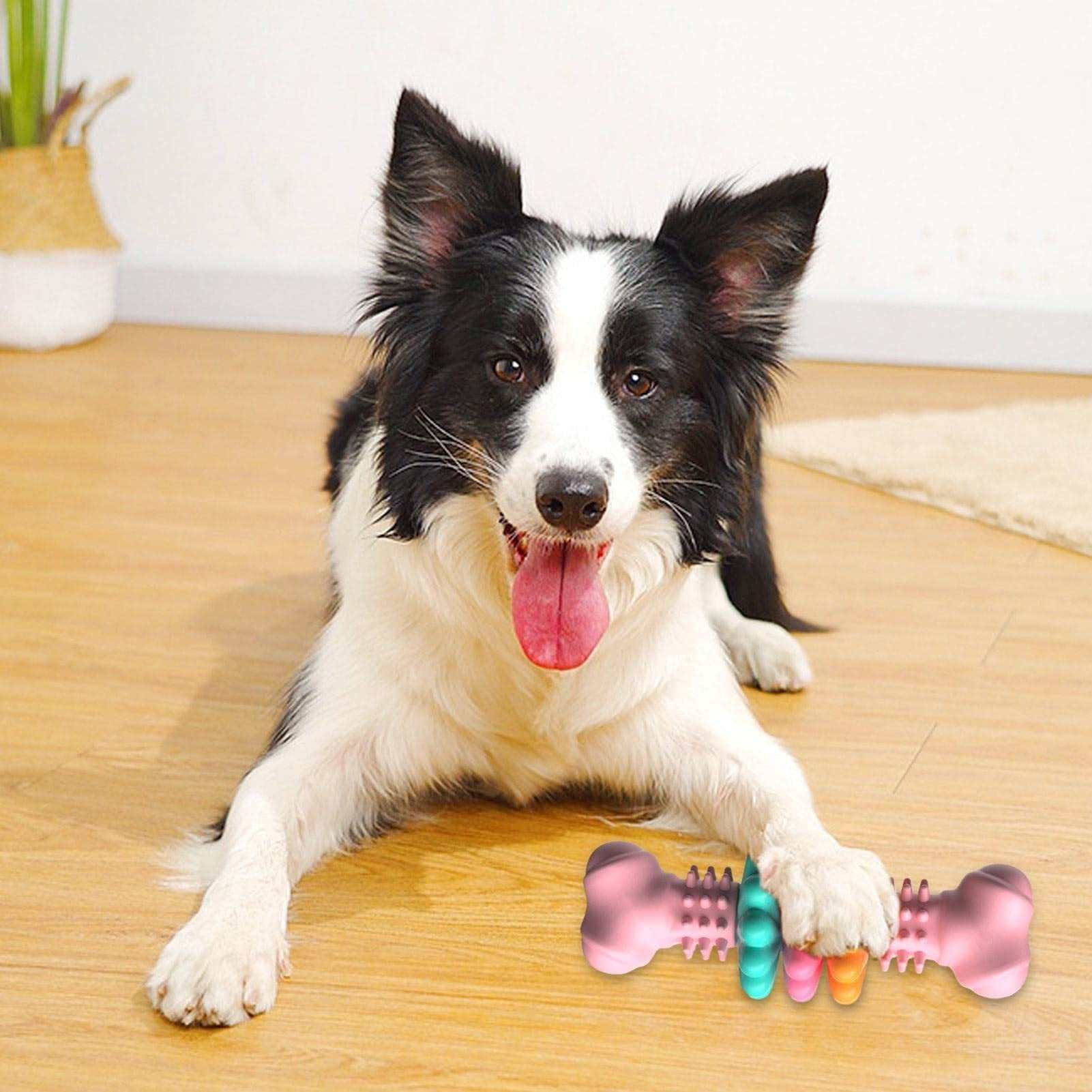 Indestructible Dog Chew Toy